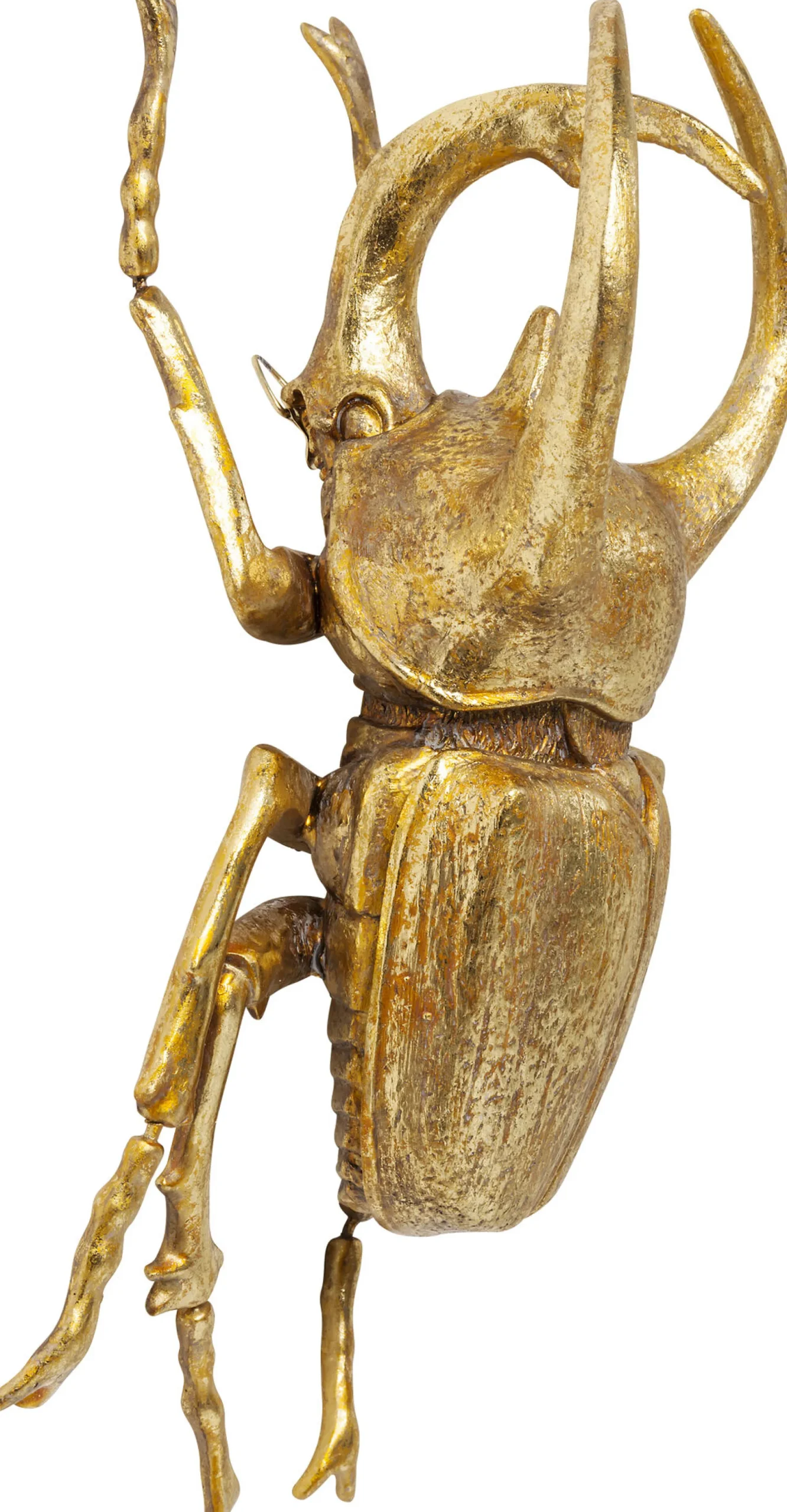 Dekoracja ścienna Atlas Beetle 26x35 cm złota