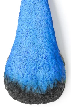 Dekoracja ścienna Peacock 16x68 cm niebieska