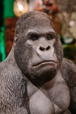 Dekoracja stojąca Gorilla 60x76 cm ciemnoszara