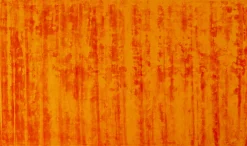 Dywan Cosy Rdzawy 170x240cm