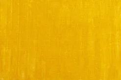 Dywan Cosy Żółty 170x240cm
