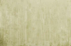 Dywan Cosy Zielony 170x240cm