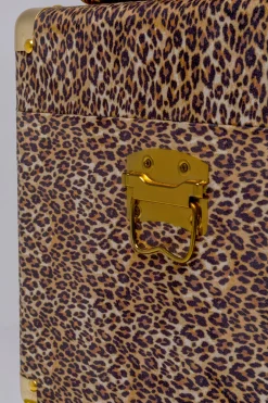Kuferek Wild Animal Leo (3/Set)