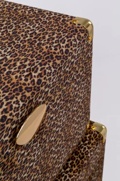 Kuferek Wild Animal Leo (3/Set)