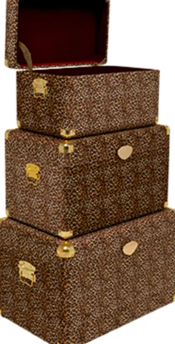 Kuferek Wild Animal Leo (3/Set)