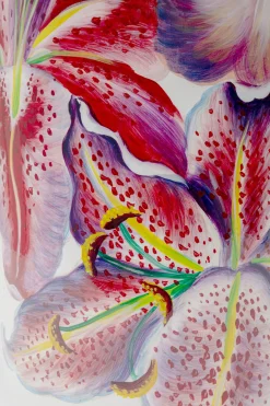 Lampa Stołowa Lillies Różowa