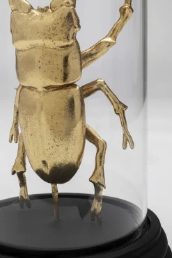 Obiekt dekoracyjny Bell Jar Hercules Beetle 20cm