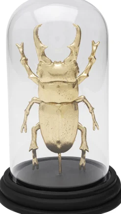 Obiekt dekoracyjny Bell Jar Hercules Beetle 20cm