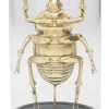 Obiekt dekoracyjny Bell Jar Stag Beetle 20cm