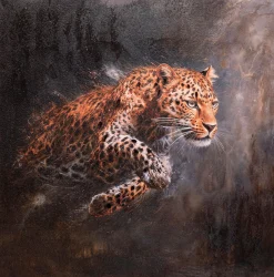 Obraz Hunting Leopard 103x103cm