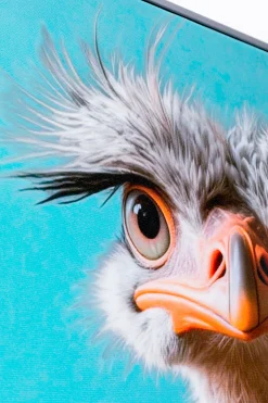 Obraz Mister Ostrich 45x60cm