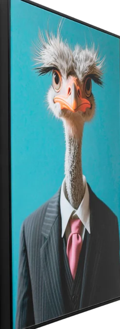 Obraz Mister Ostrich 45x60cm
