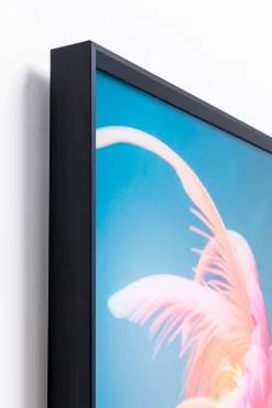 Obraz szklany Cockatoo Chatter 150x100cm