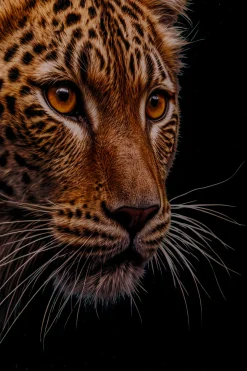 Obraz szklany Hunting Leopard 200x100cm