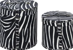 Pudełko Wild Animal Zebra (2/Set)