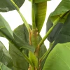 Roślina dekoracyjna Banana Tree 180 cm