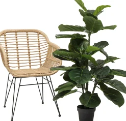 Roślina dekoracyjna Fiddle Leaf 120 cm