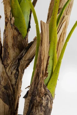 Roślina dekoracyjna Palm Tree 190 cm
