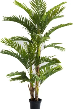 Roślina dekoracyjna Palm Tree 190 cm