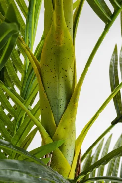 Roślina dekoracyjna Palm Tree 190 cm