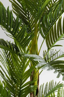 Roślina dekoracyjna Palm Tree 190 cm