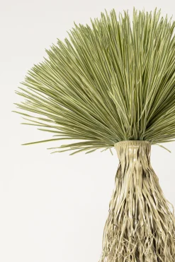 Roślina sztuczna wysoka Yucca Rostrata 240 cm