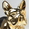 Skarbonka Bulldog 34x28 cm czarno-złota