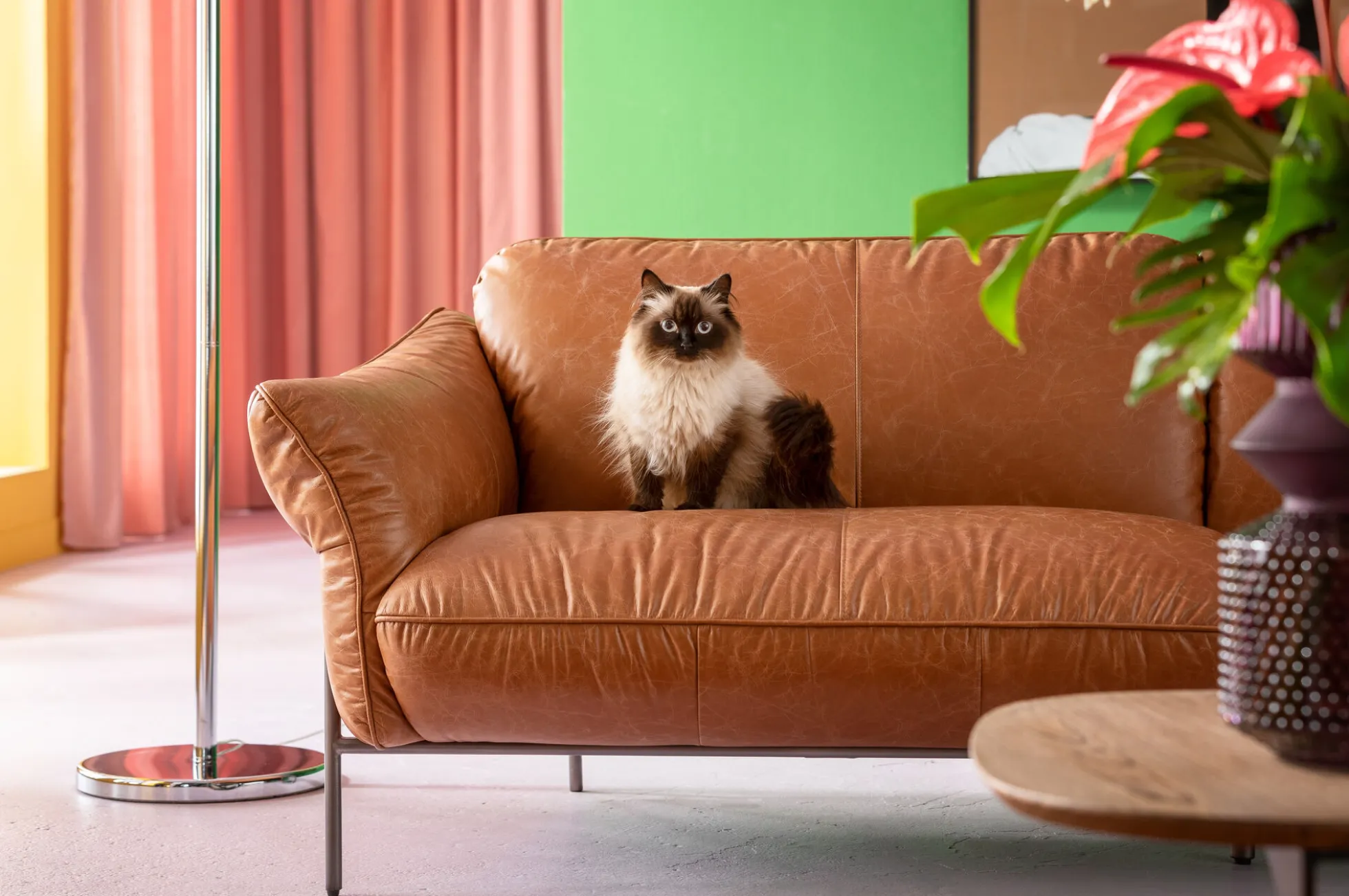 Sofa ekskluzywna 3-osobowa brązowa skóra semianilinowa nogi czarne 226 cm