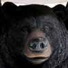 Stolik Bear Ø33x53 cm czarno-drewniany