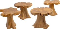 Stolik kawowy Tree 50x50 cm drewniany