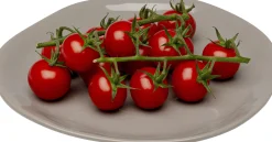 Talerz Organic Szary Ø20cm