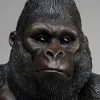 Uchwyt na papier toaletowy Sitting Monkey Gorilla 33x51 cm
