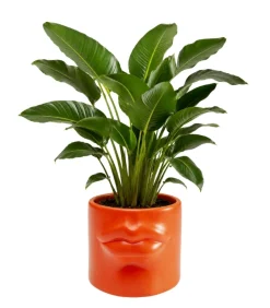 Wazon Labbra różowy 12cm